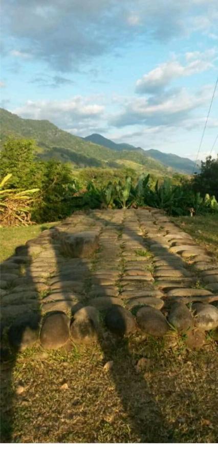 Valles Of Osa Palmar Sur Exterior photo