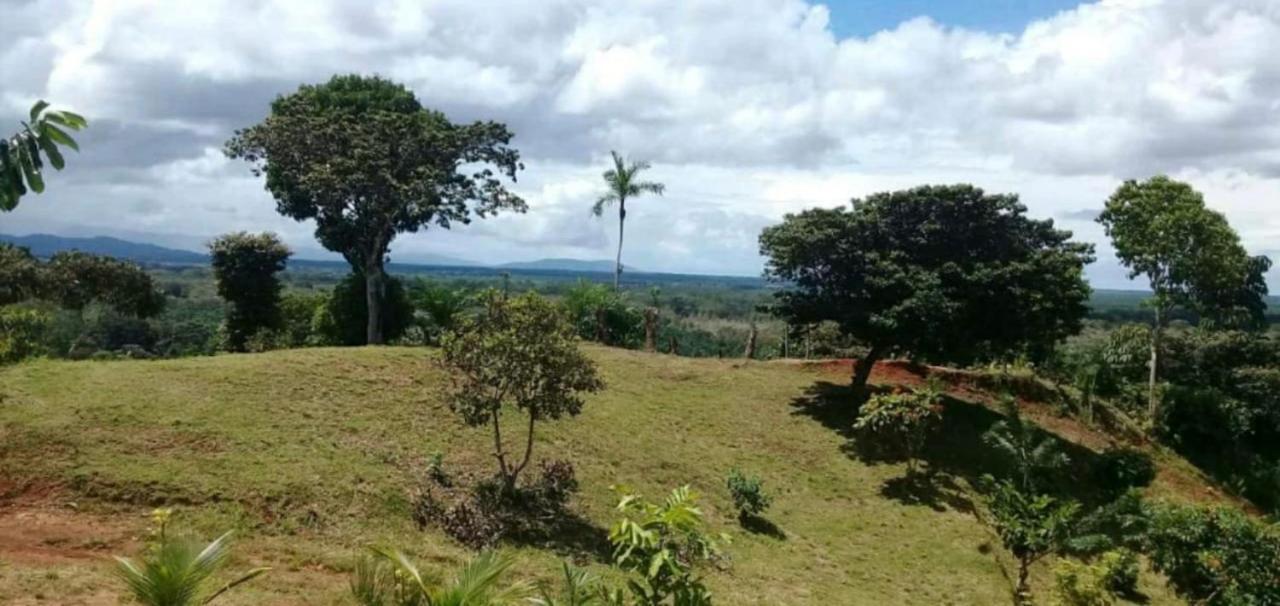 Valles Of Osa Palmar Sur Exterior photo