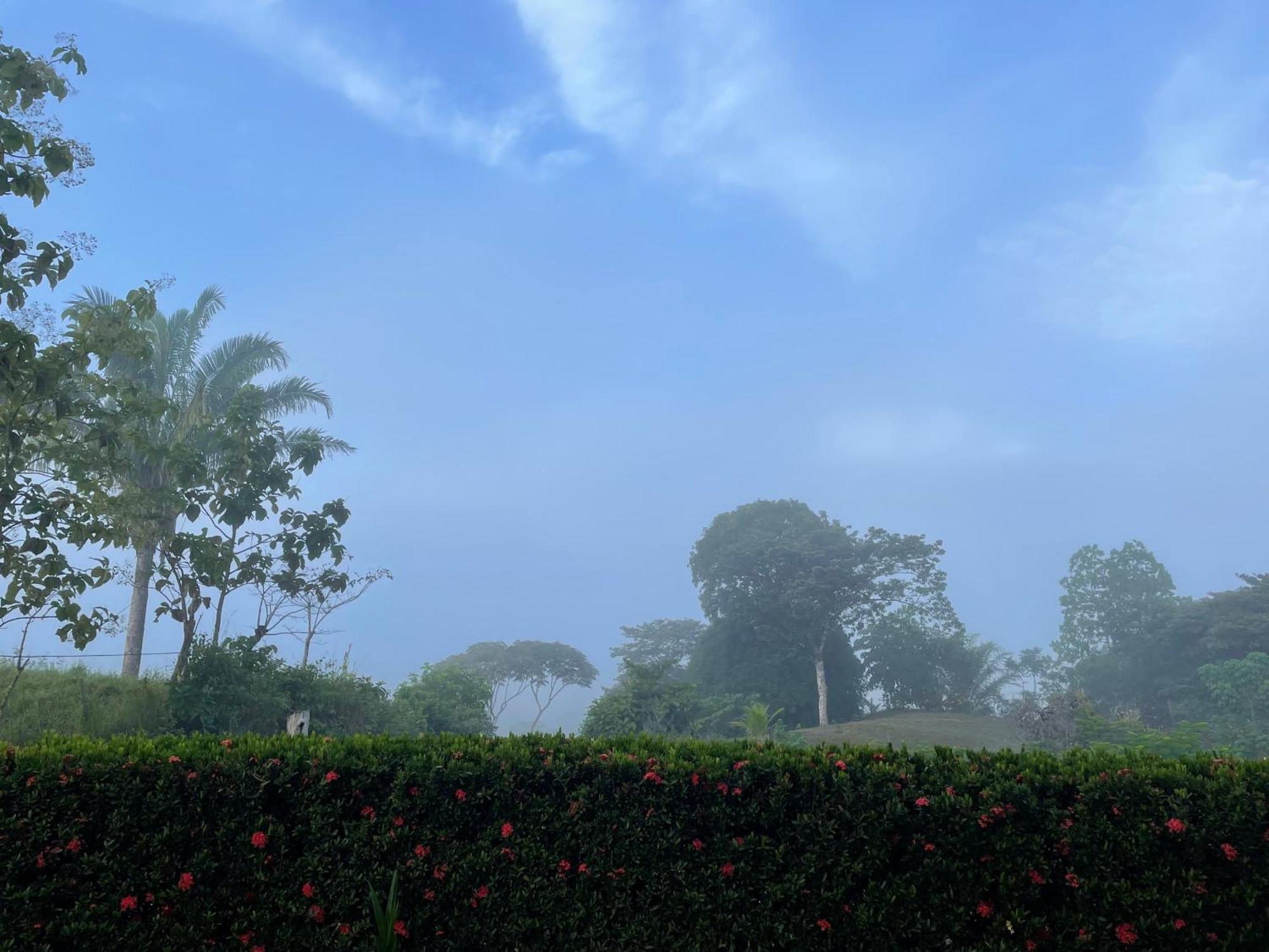 Valles Of Osa Palmar Sur Exterior photo