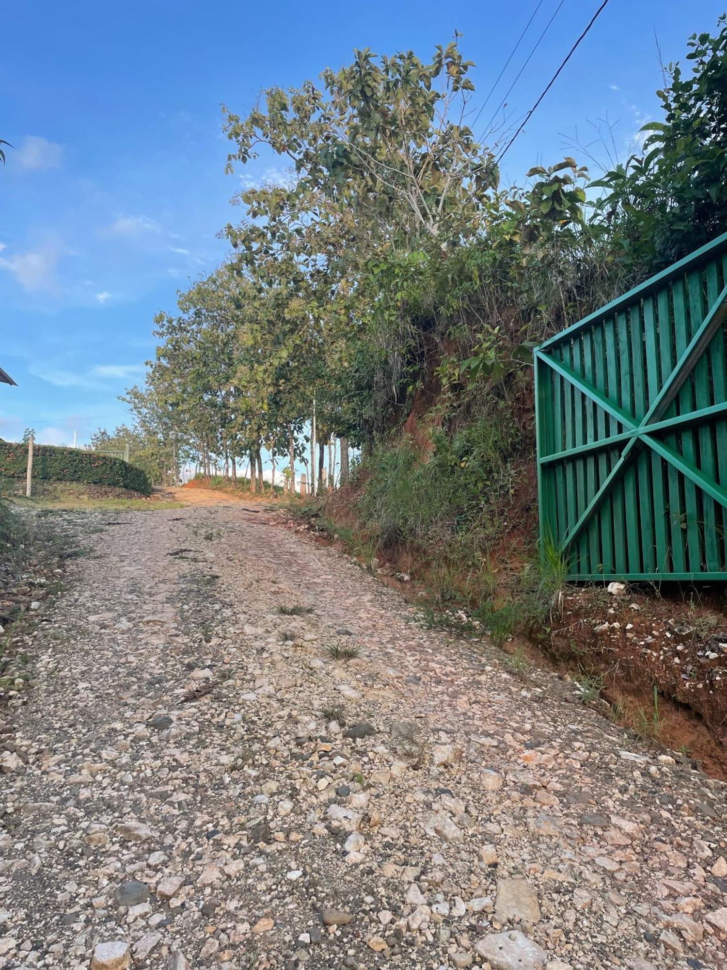 Valles Of Osa Palmar Sur Exterior photo