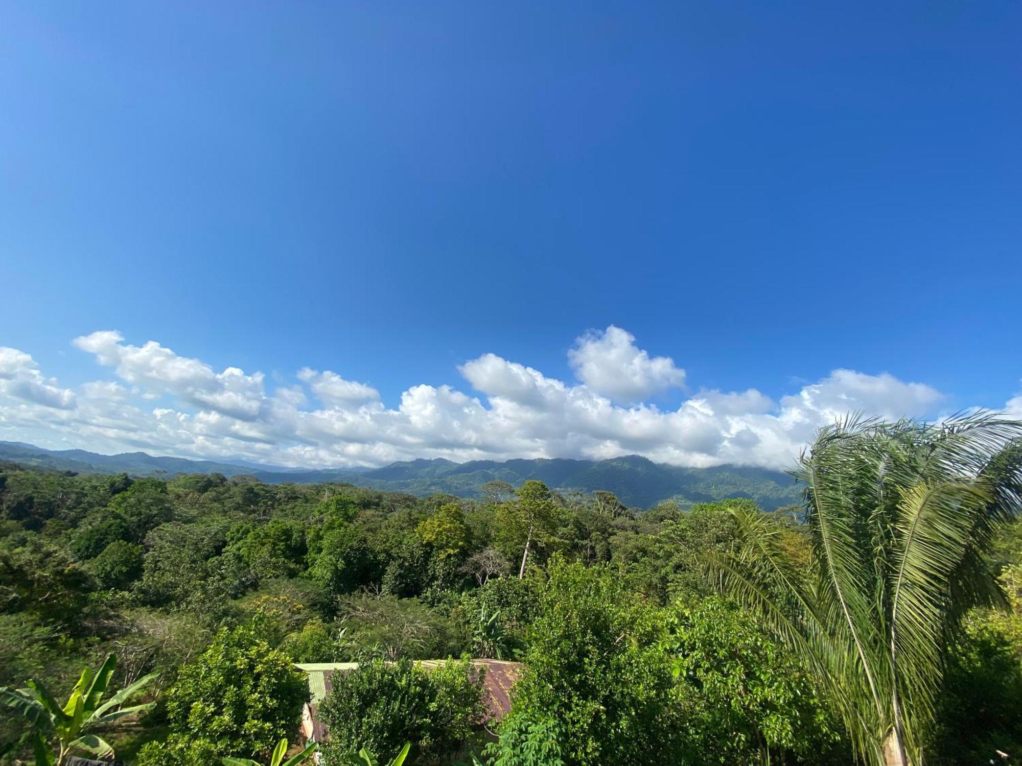 Valles Of Osa Palmar Sur Exterior photo
