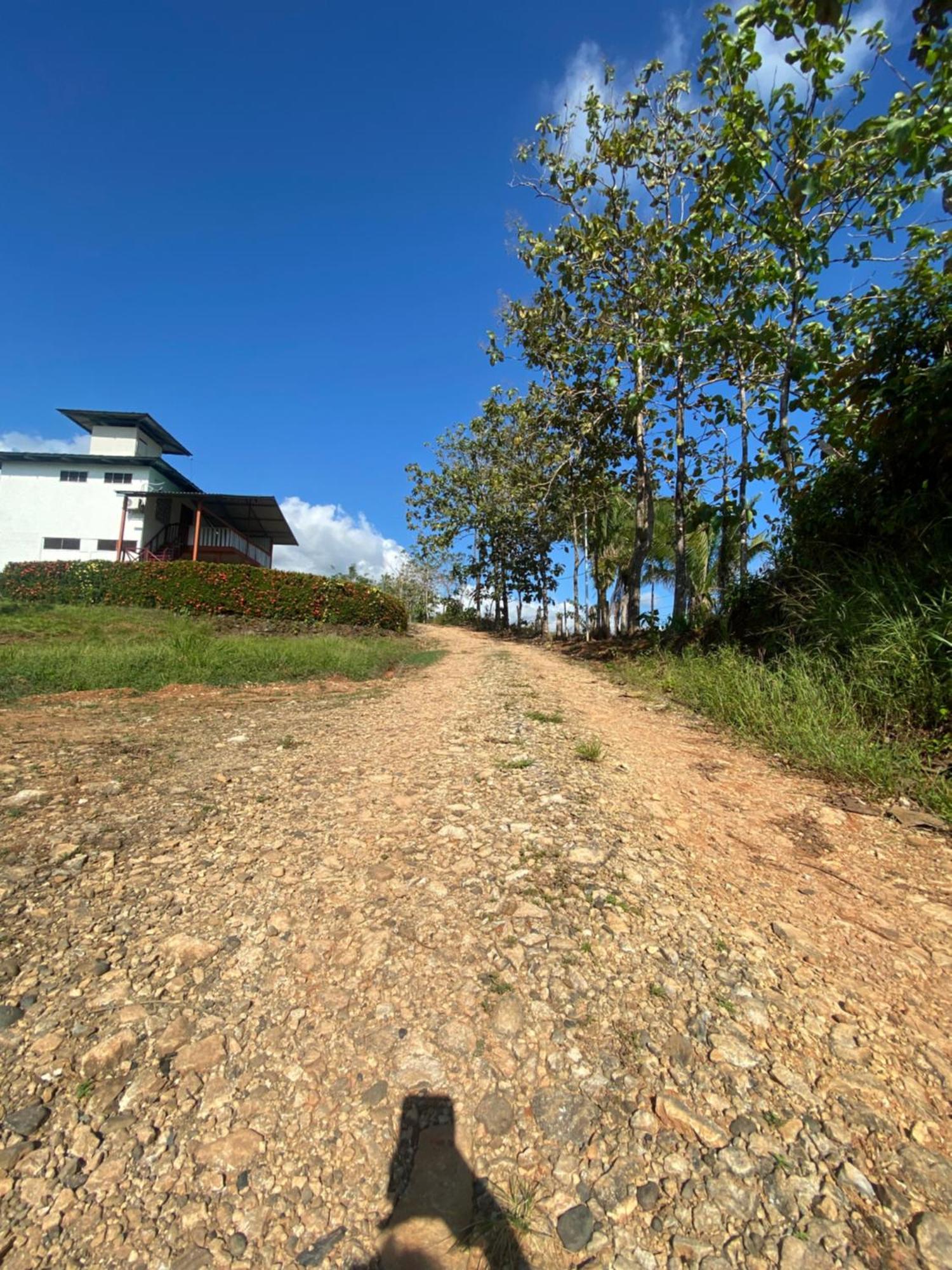 Valles Of Osa Palmar Sur Exterior photo