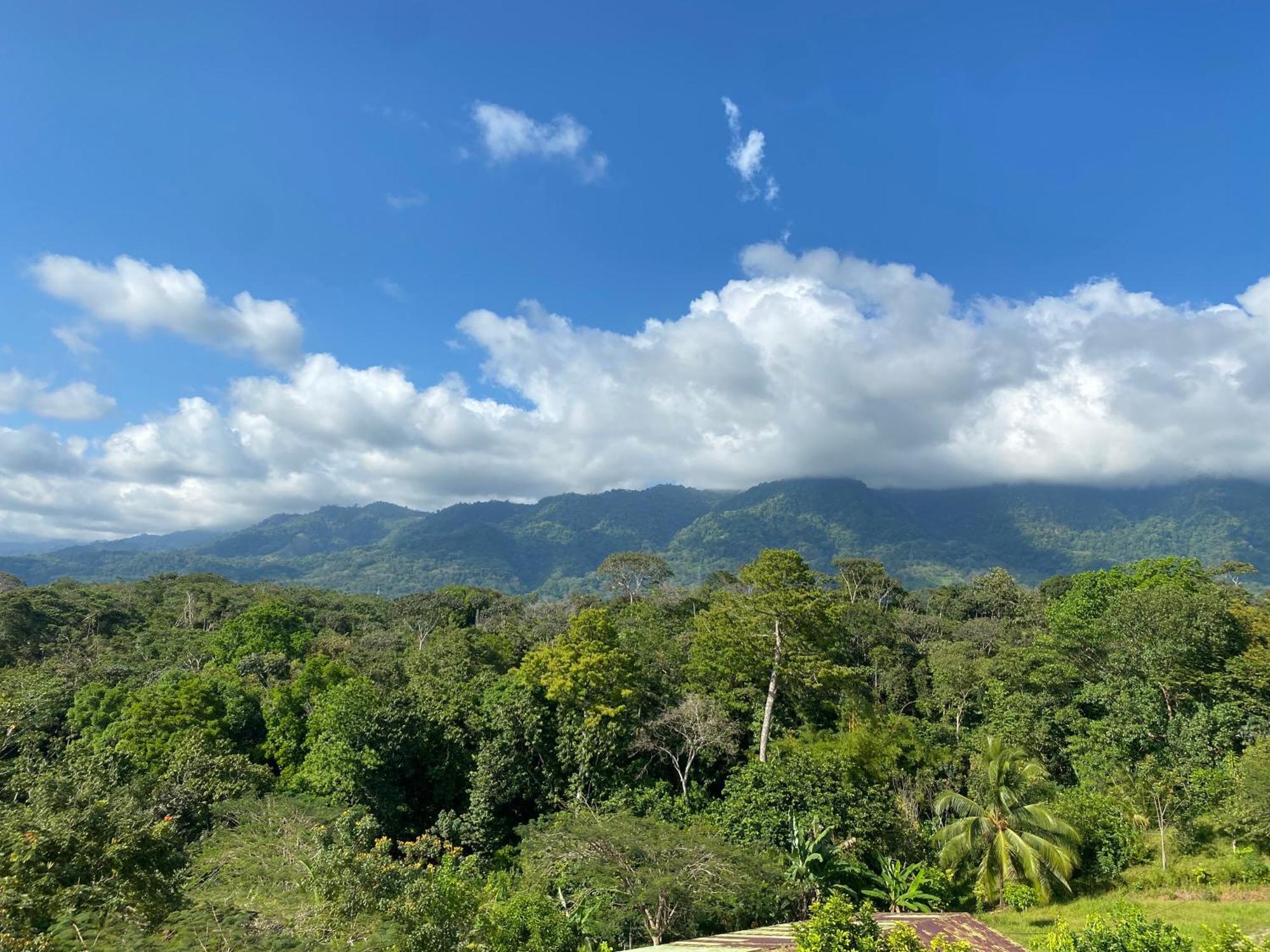 Valles Of Osa Palmar Sur Exterior photo